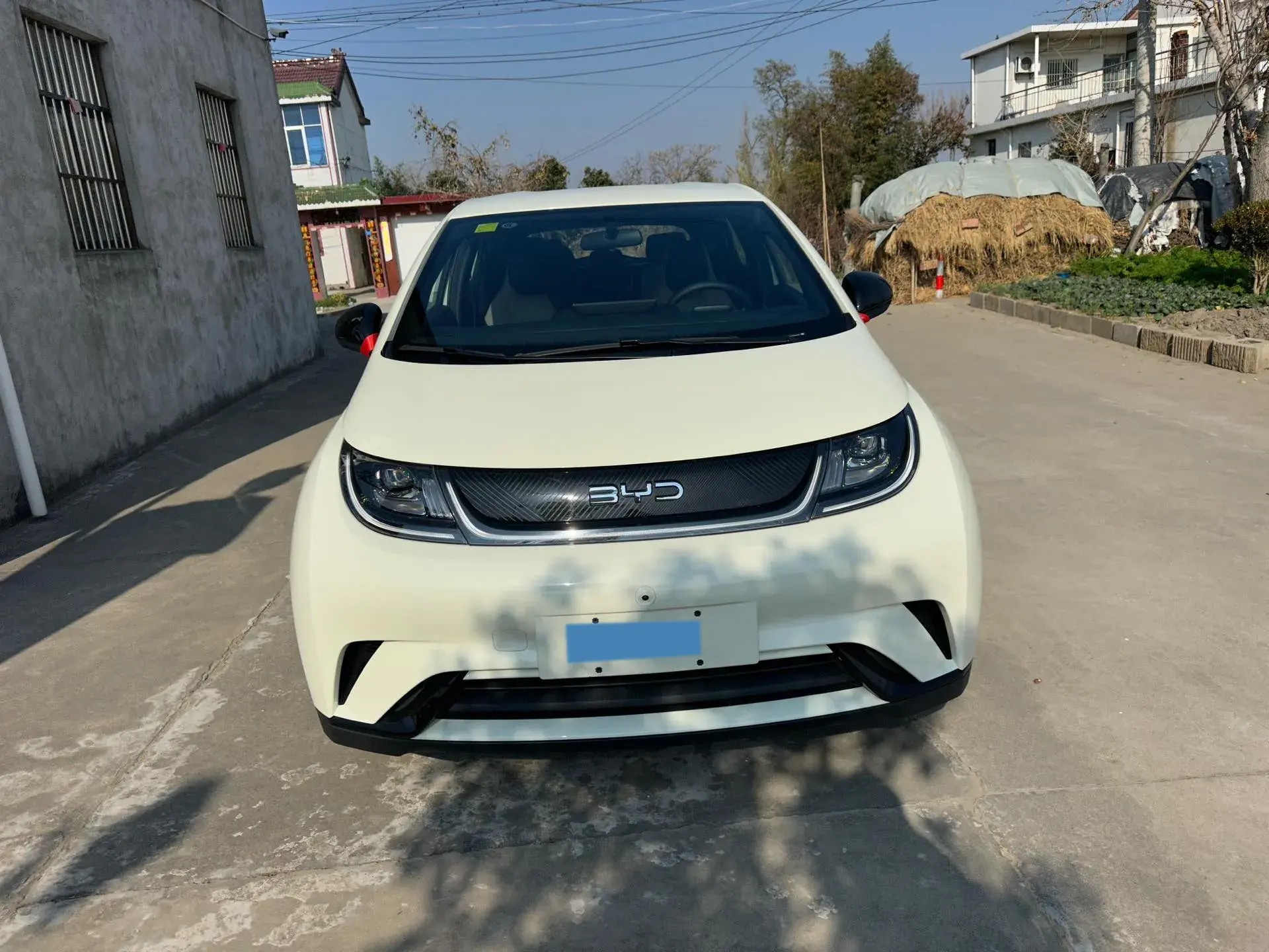 2024 BYD DOLPHIN thumbnail 4