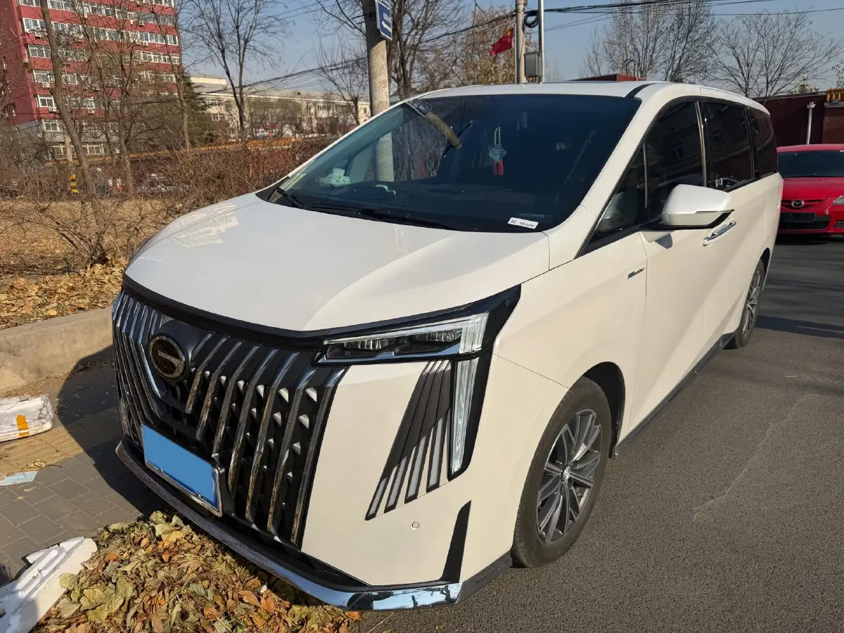 2024 GAC Trumpchi M8 2.0T 252HP L4 8AT