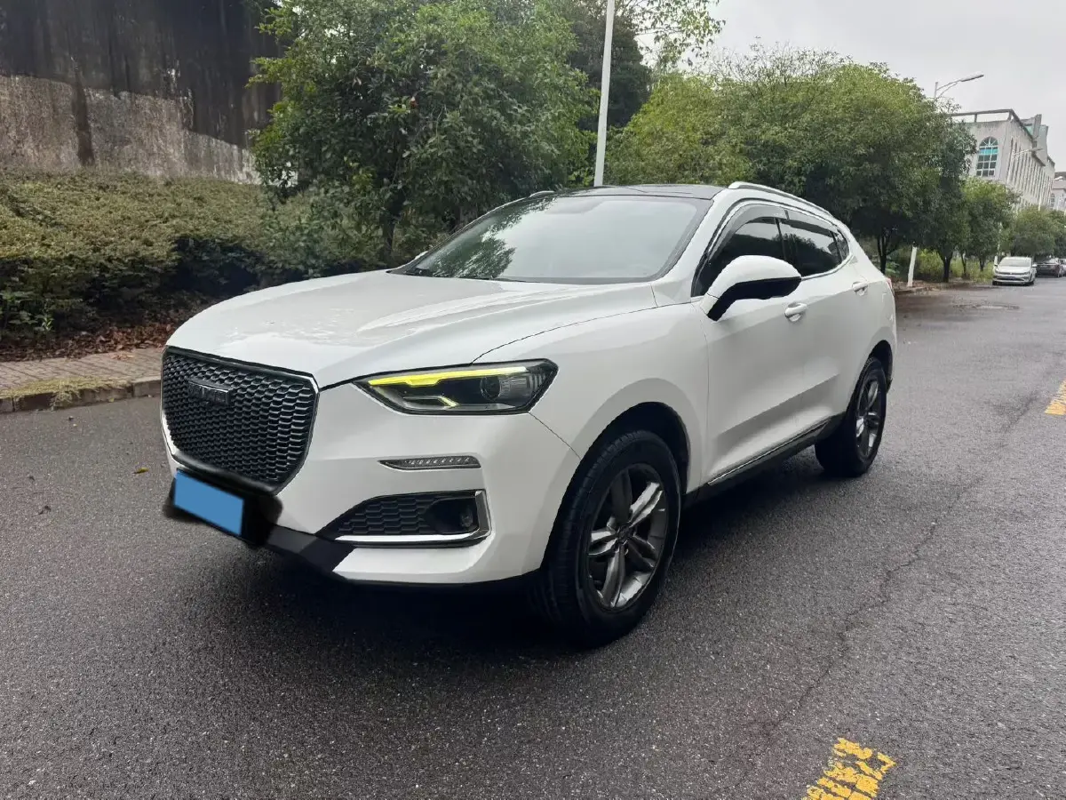 2019 Haval F5 1.5T 169HP L4 7DCT