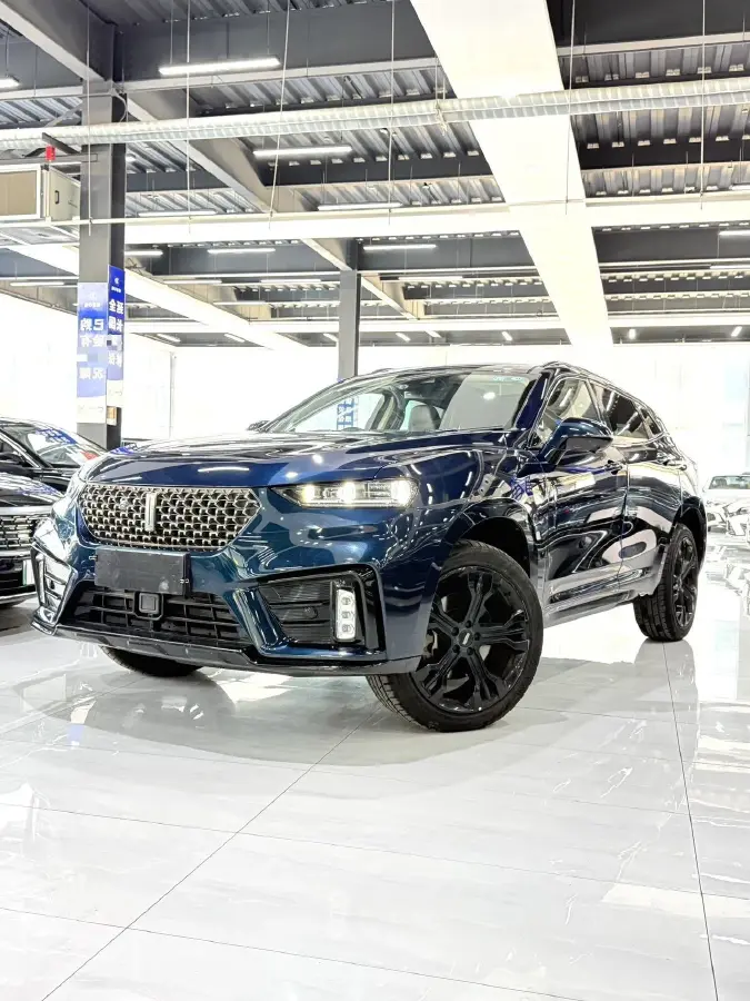 2020 WEY VV7 2.0T 227HP L4 7DCT