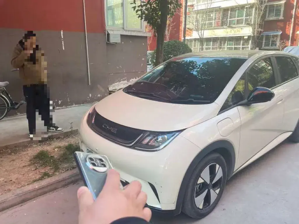 2023 BYD Dolphin BEV 44.928KWH