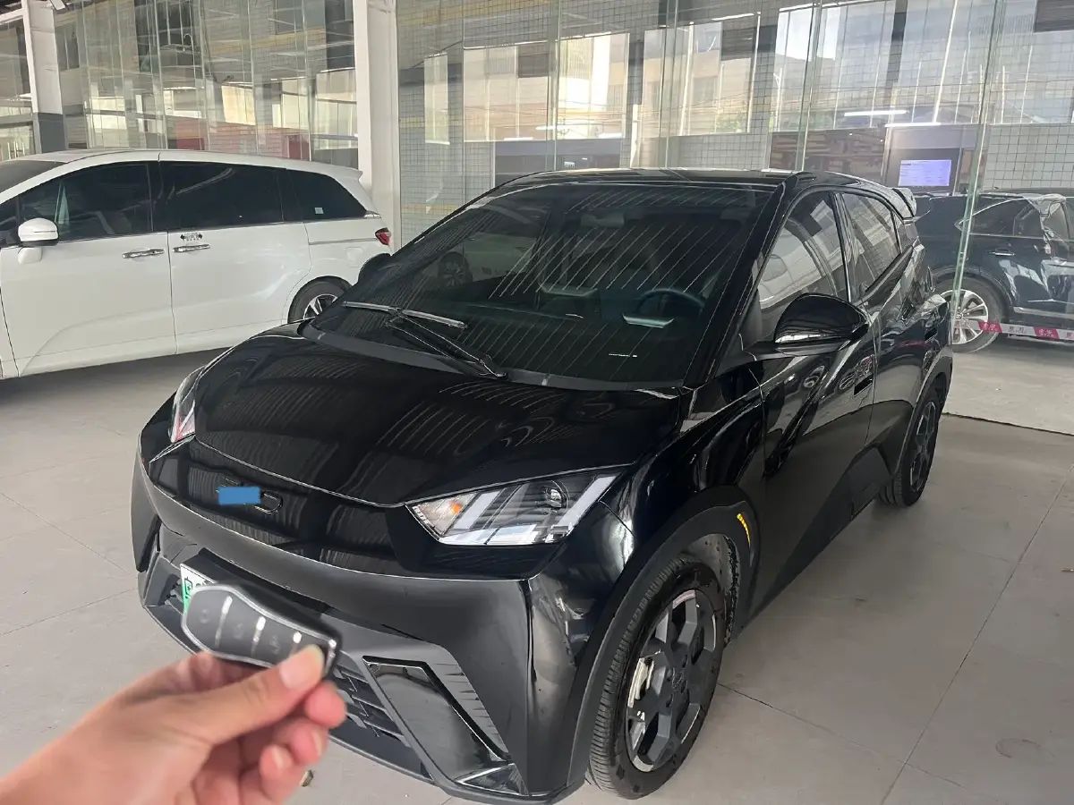 2024 BYD Seagull BEV 38.88KWH