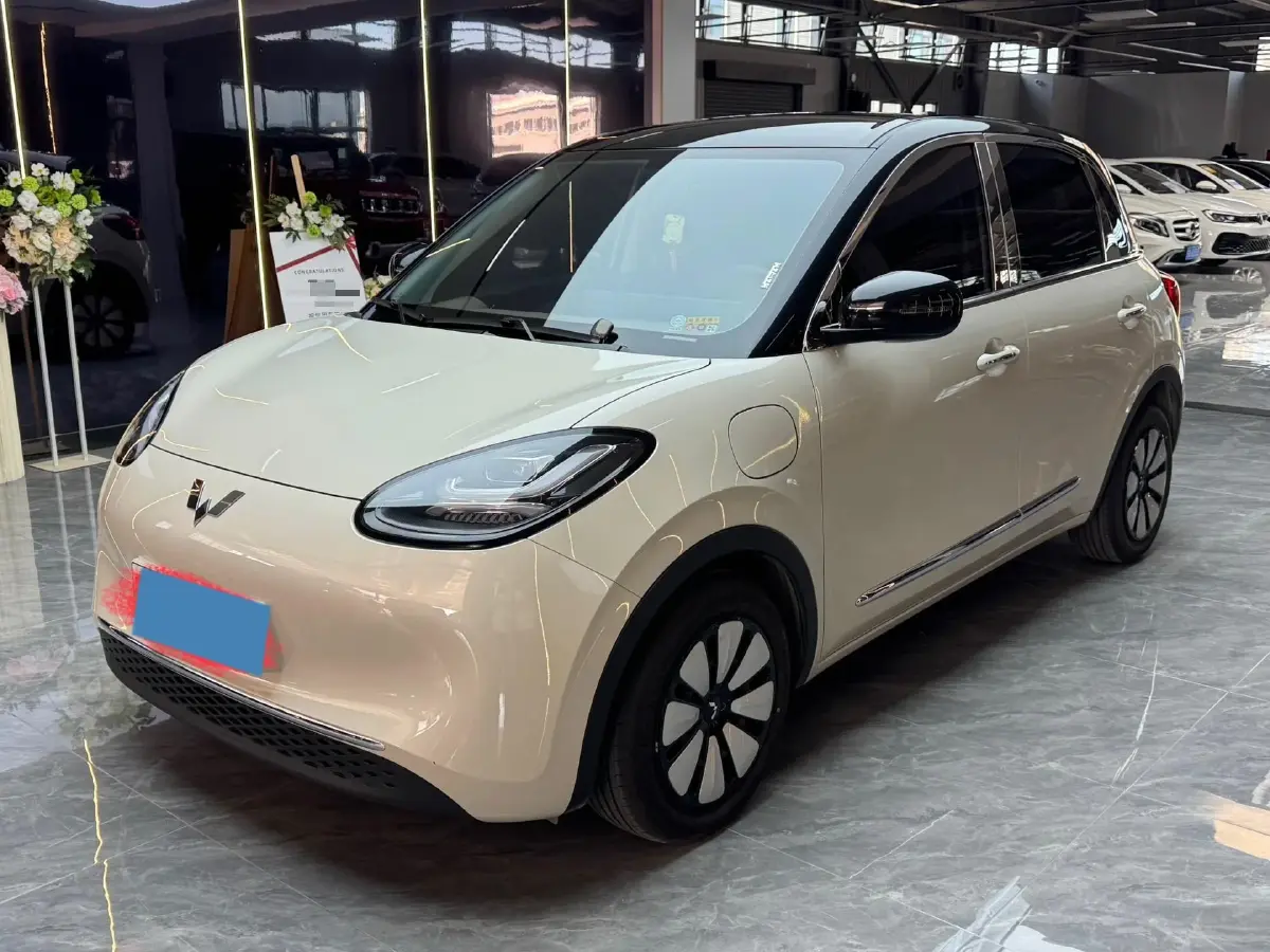 2024 WuLing BinGuo BEV 31.9KWH
