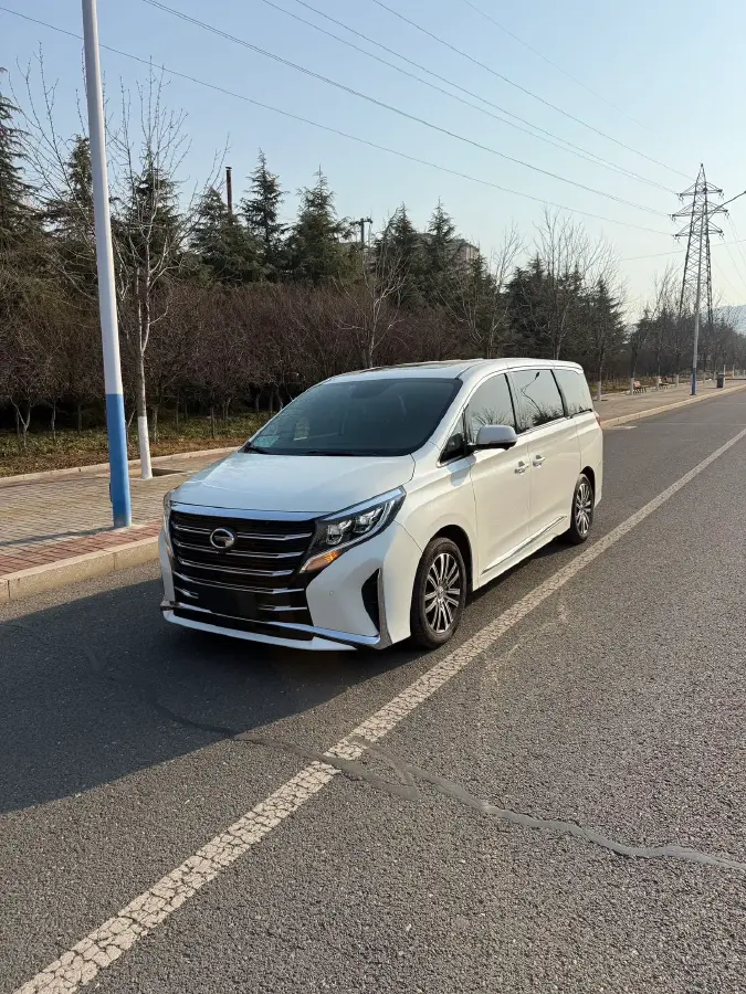 2021 GAC Trumpchi M8 2.0T 252HP L4 8AT