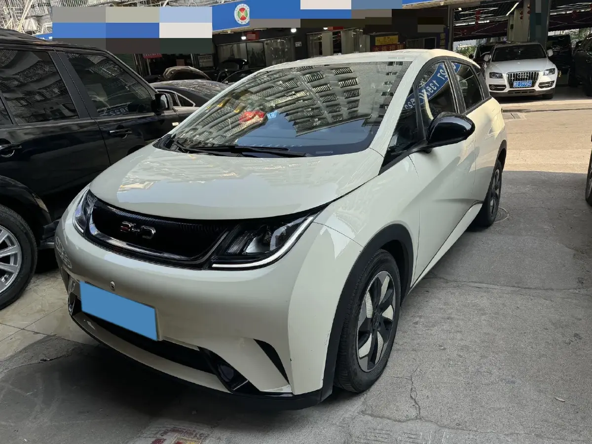 2024 BYD Dolphin BEV 44.928KWH