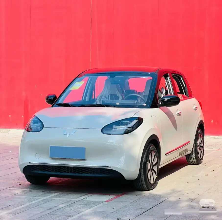 2024 WuLing BinGuo BEV 31.9KWH