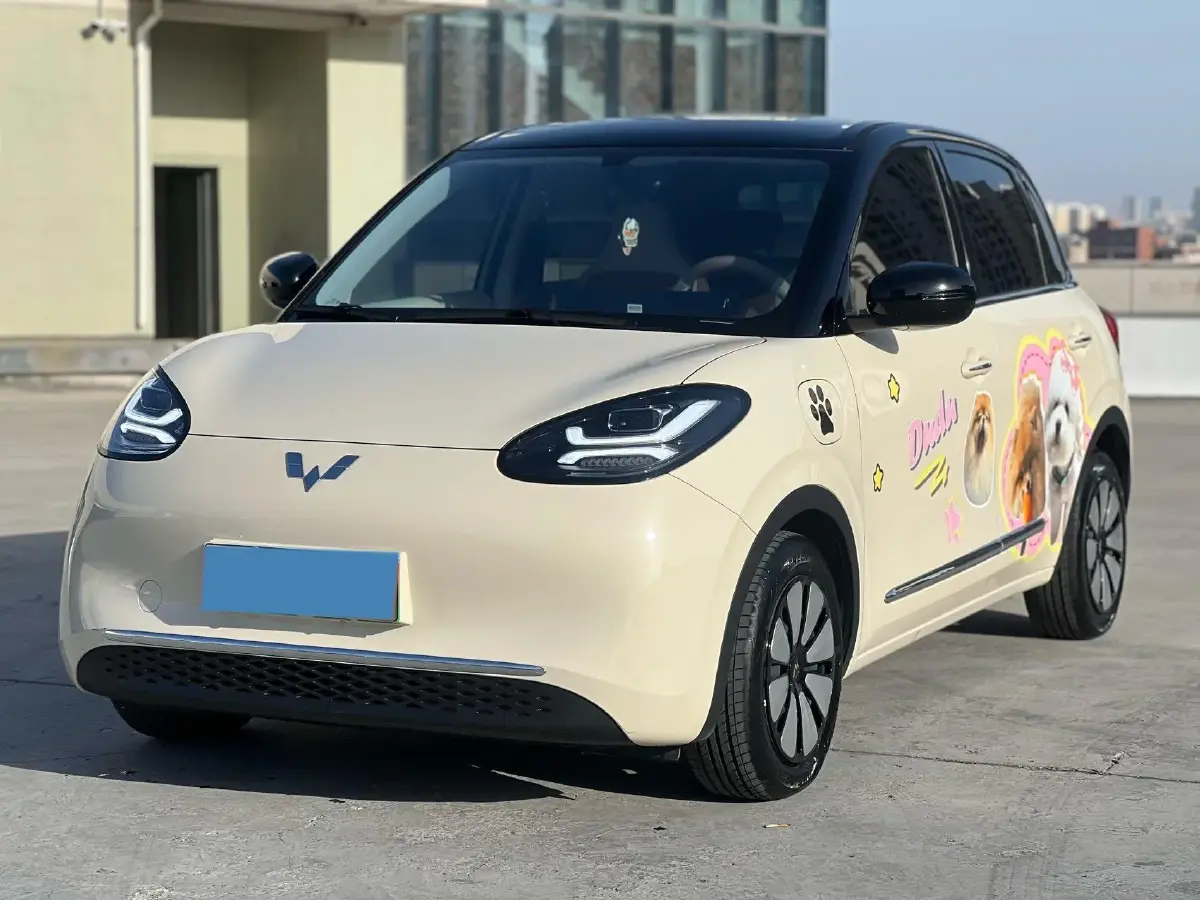 2025 WuLing BinGuo BEV