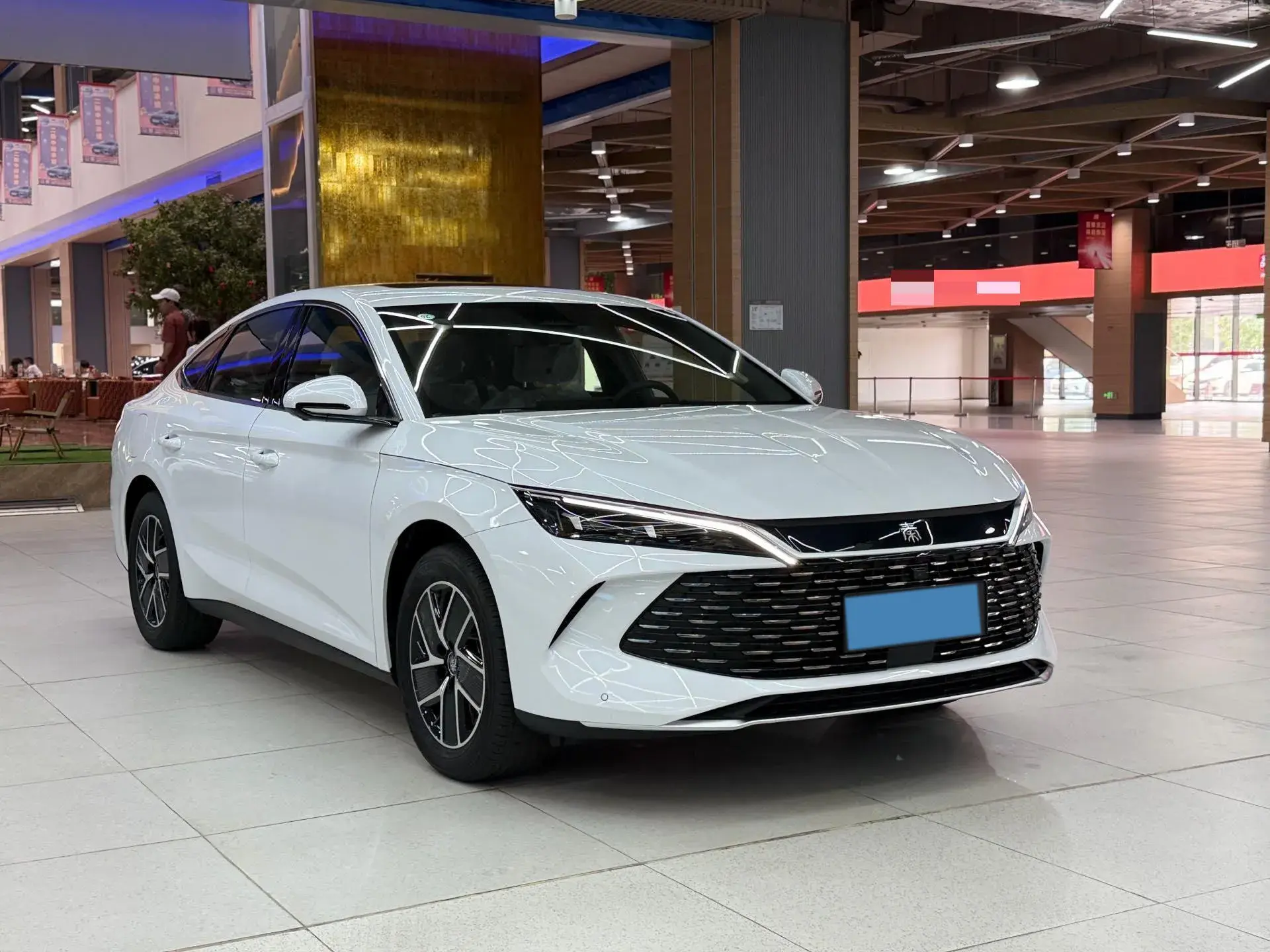 2024 BYD QINL thumbnail 2