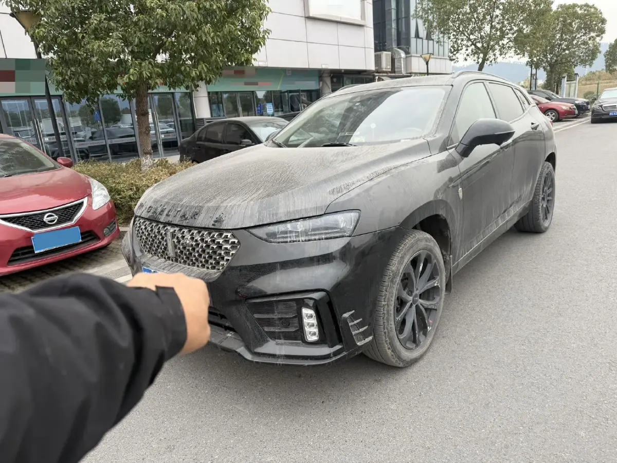 2020 WEY VV7 2.0T 227HP L4 7DCT