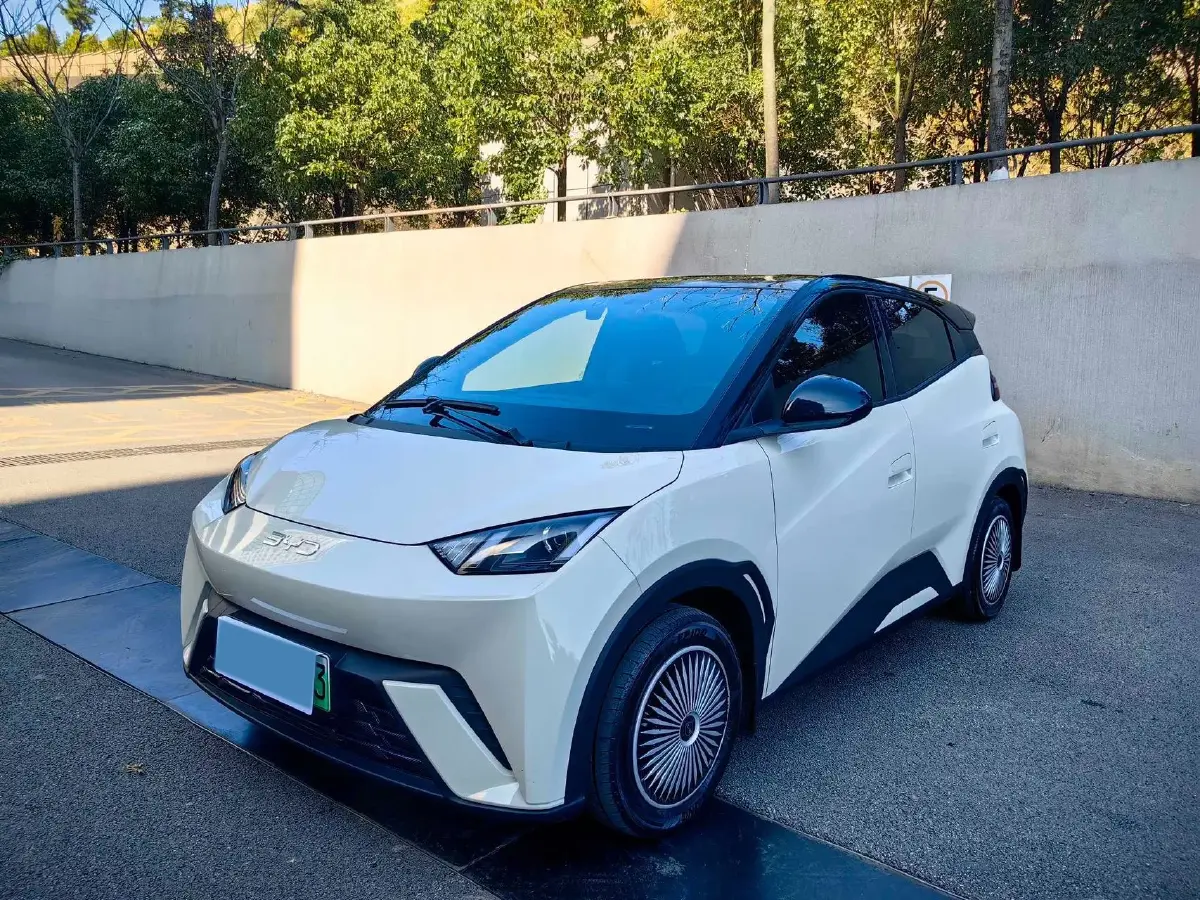 2024 BYD Seagull BEV 30.08KWH