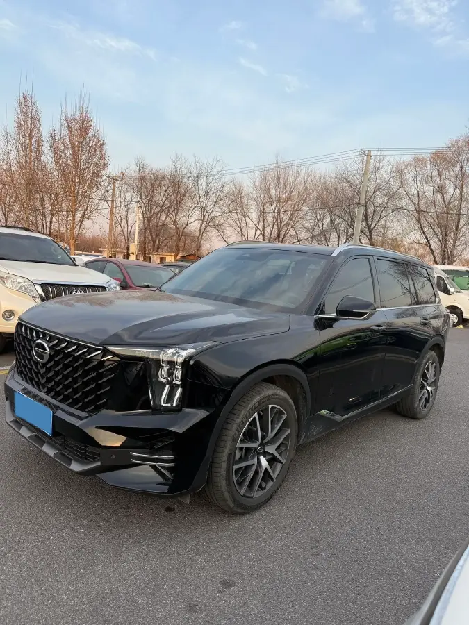 2022 GAC Trumpchi GS8 2.0T 252HP L4 8AT