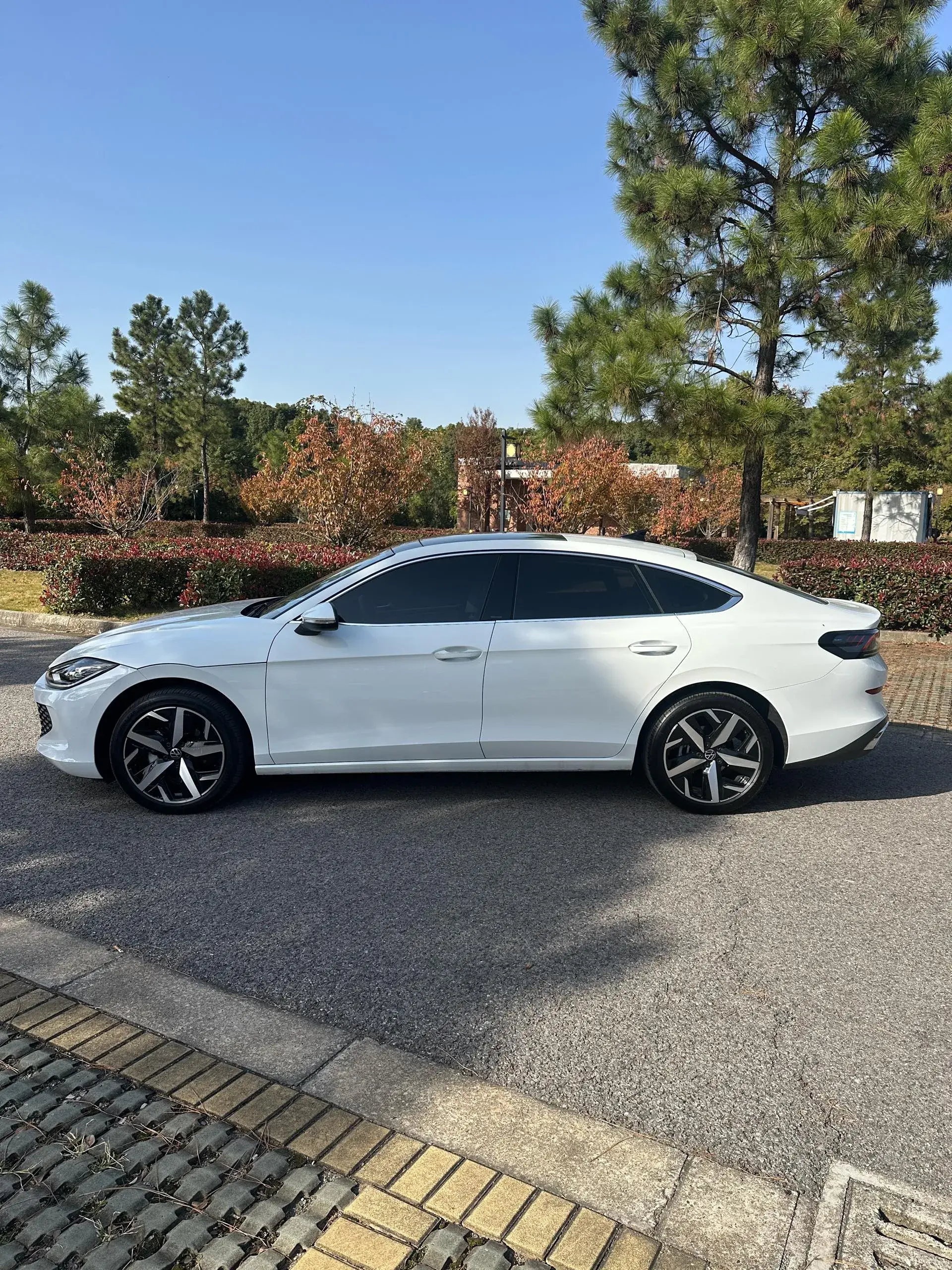 2025 VOLKSWAGEN LAMANDO thumbnail 2