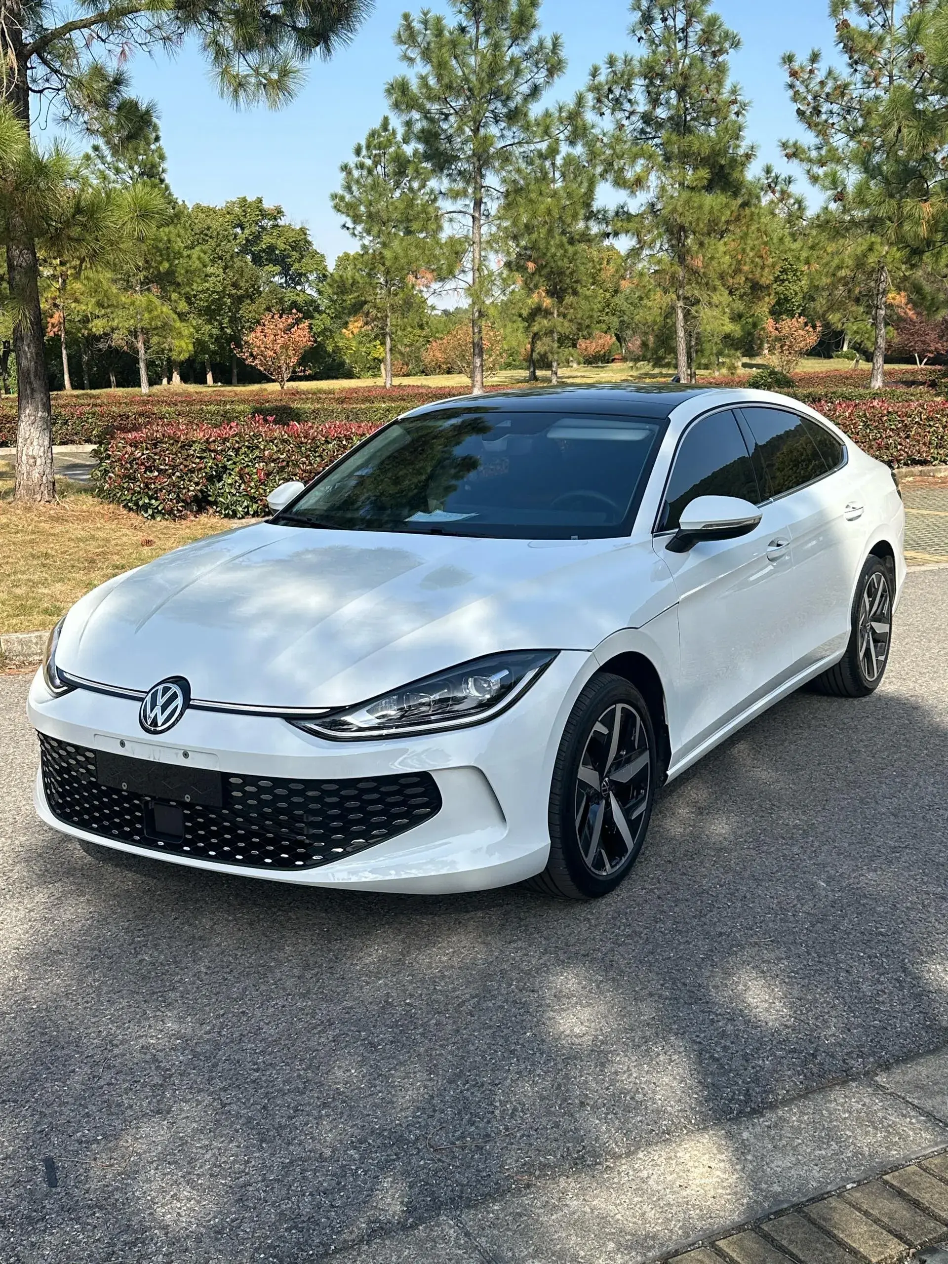 2025 VOLKSWAGEN LAMANDO view 1