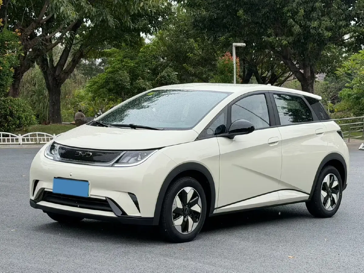 2025 BYD Dolphin BEV 44.928KWH