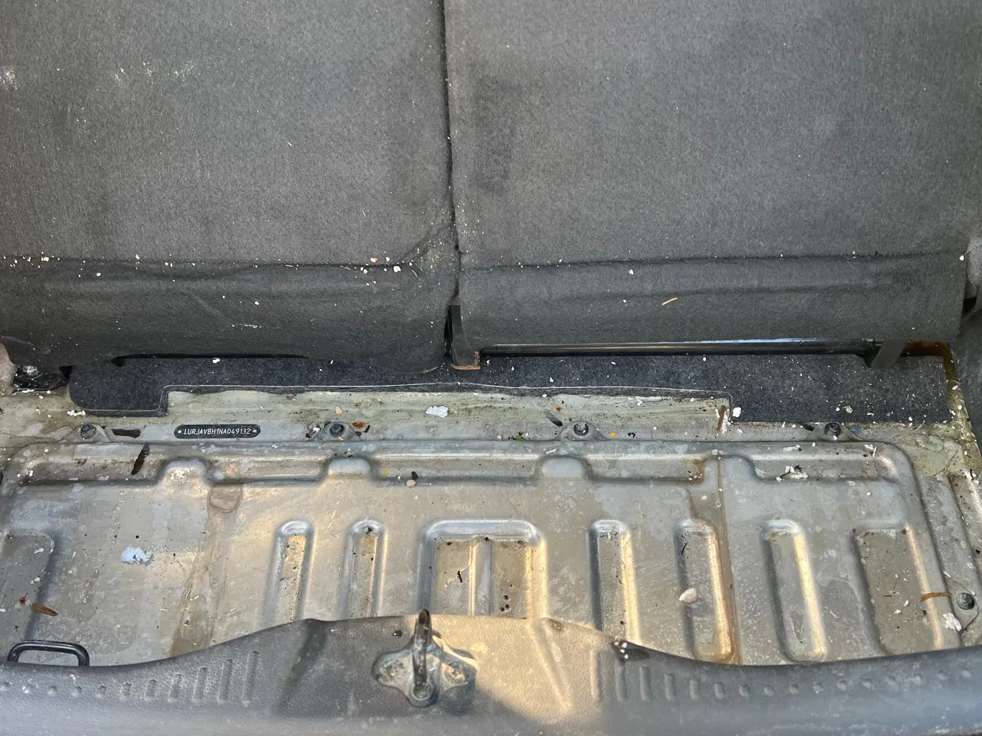 2022 CHERY LITTLE thumbnail 4