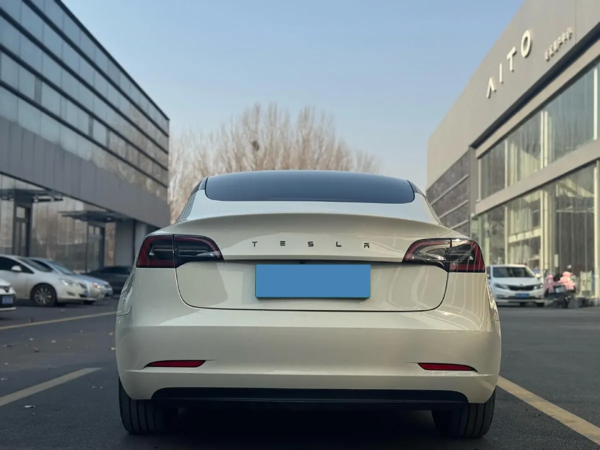 2022 Tesla Model 3 BEV 60KWH,autocango,china used car exporter,china ev exporter,chinese used car exporter,chinese used ev exporter