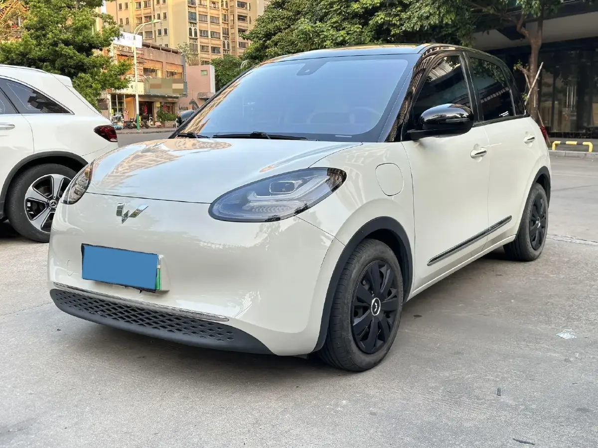 2023 WuLing BinGuo BEV 31.9KWH