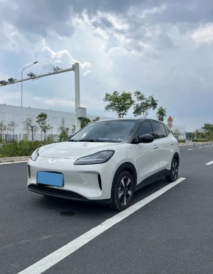 2024 WuLing BinGuoPLUS BEV 31.9KWH