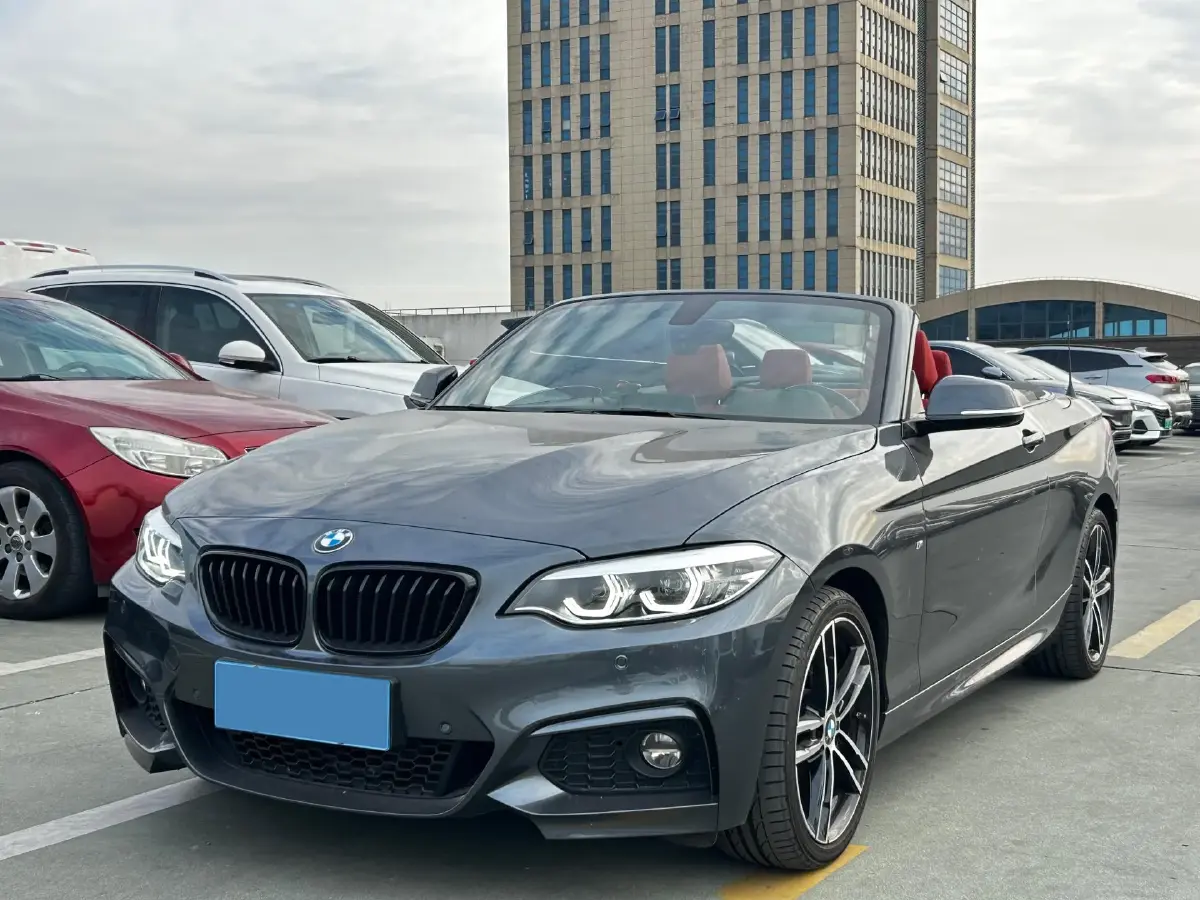 2019 BMW 2 Series 2.0T 184HP L4 8AT