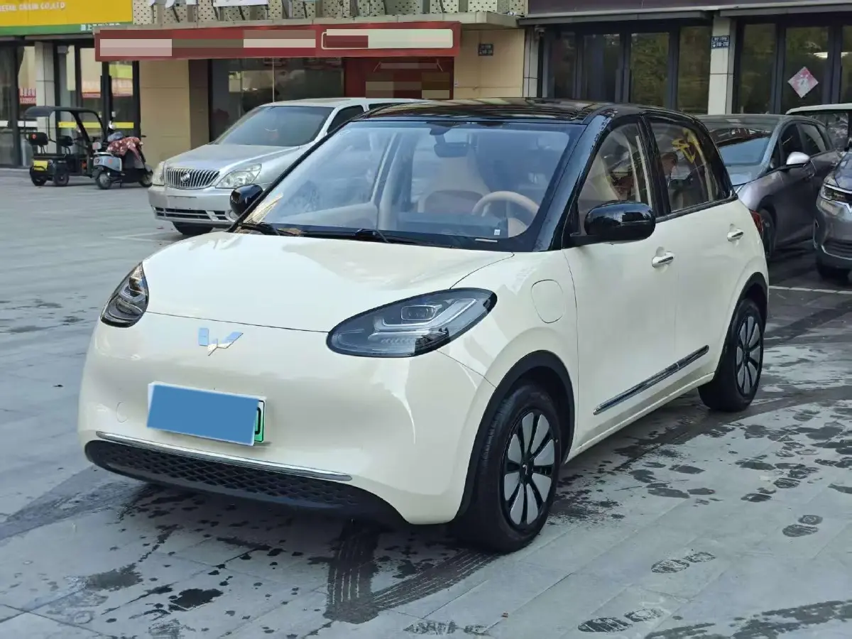 2024 WuLing BinGuo BEV 31.9KWH