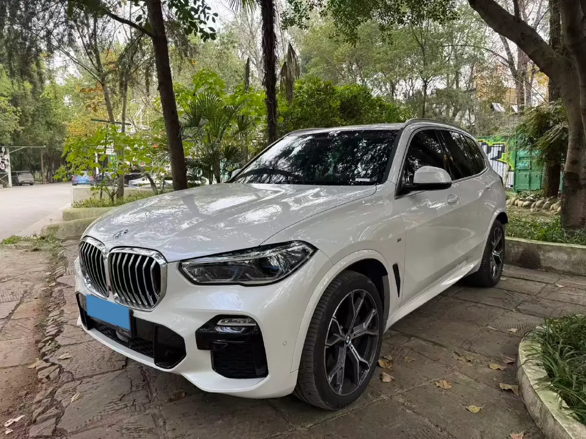 2021 BMW X5 3.0T 340HP L6 8AT