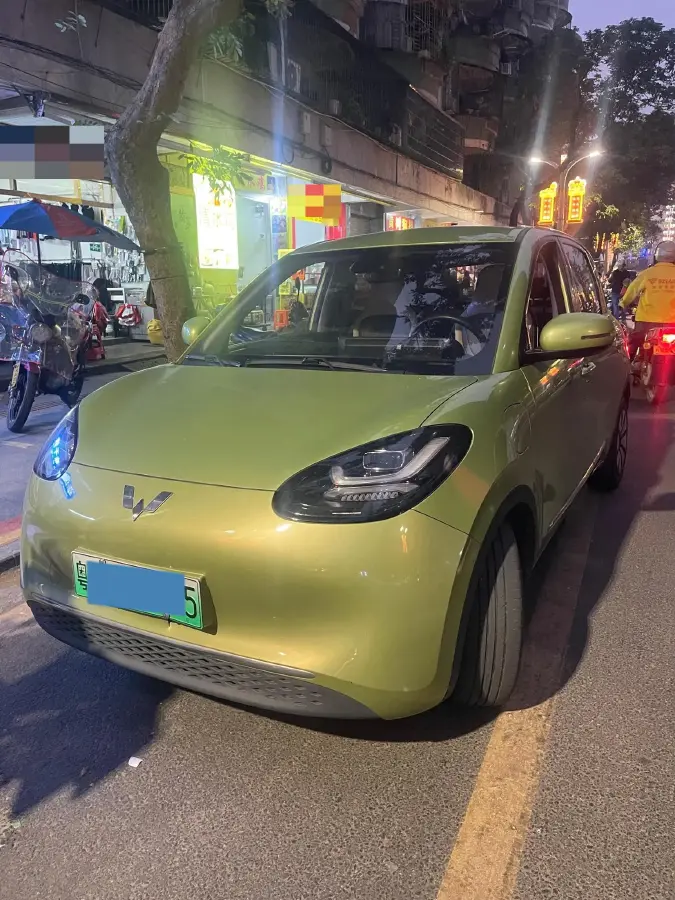 2023 WuLing BinGuo BEV 31.9KWH
