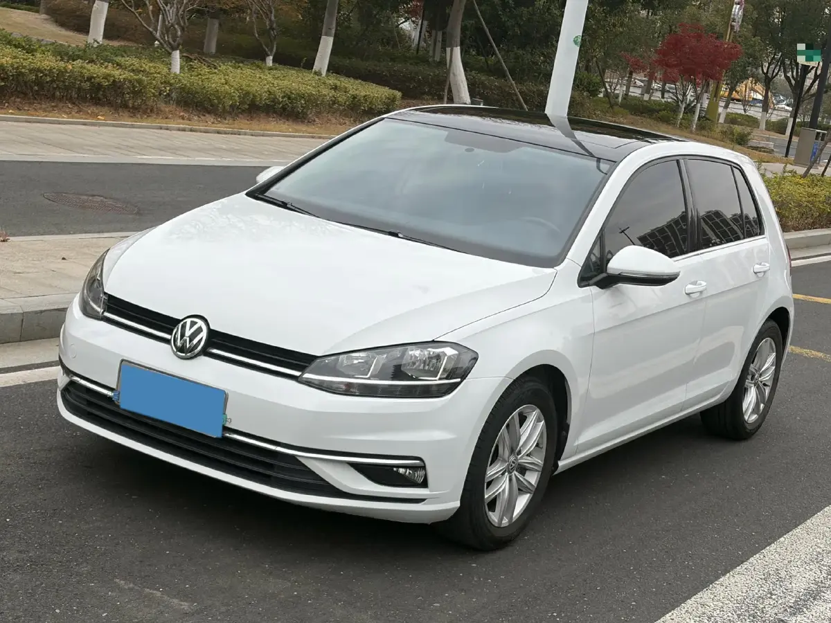 2018 Volkswagen Golf 1.6L 110HP L4 6AT