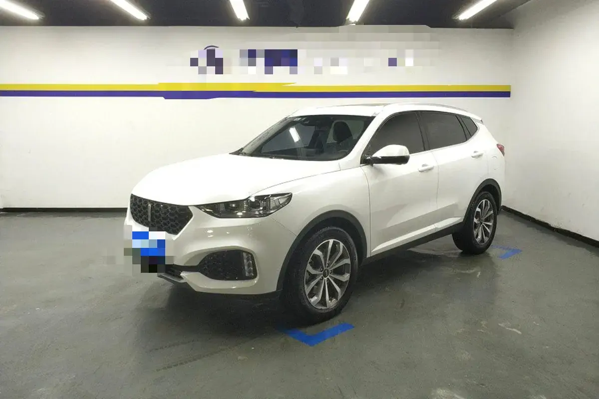 2018 WEY VV6 2.0T 197HP L4 7DCT