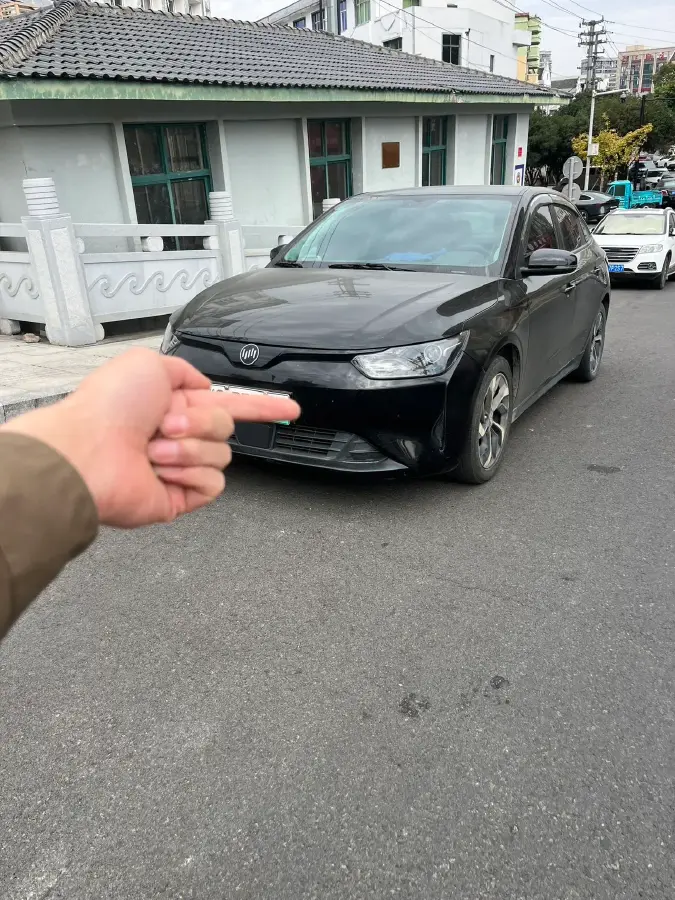 2021 Weltmeister E.5 BEV 49.92KWH