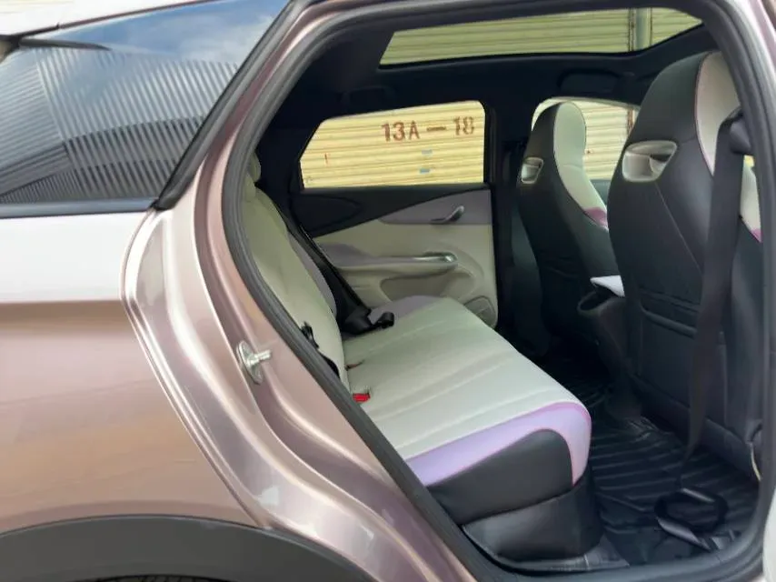 2021 BYD Yuan Pro BEV 50.1KWH,autocango,china used car exporter,china ev exporter,chinese used car exporter,chinese used ev exporter