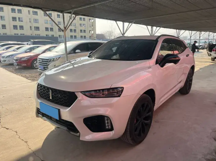 2019 WEY VV7 2.0T 234HP L4 7DCT