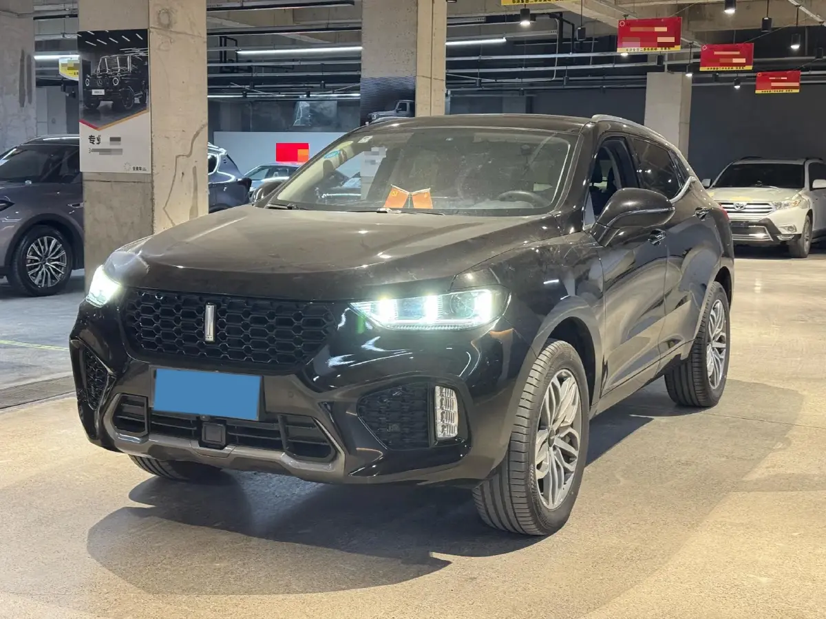 2019 WEY VV5 2.0T 224HP L4 7DCT