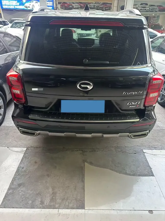 2021 GAC Trumpchi GS8 2.0T 252HP L4 6AT,autocango,china used car exporter,china ev exporter,chinese used car exporter,chinese used ev exporter