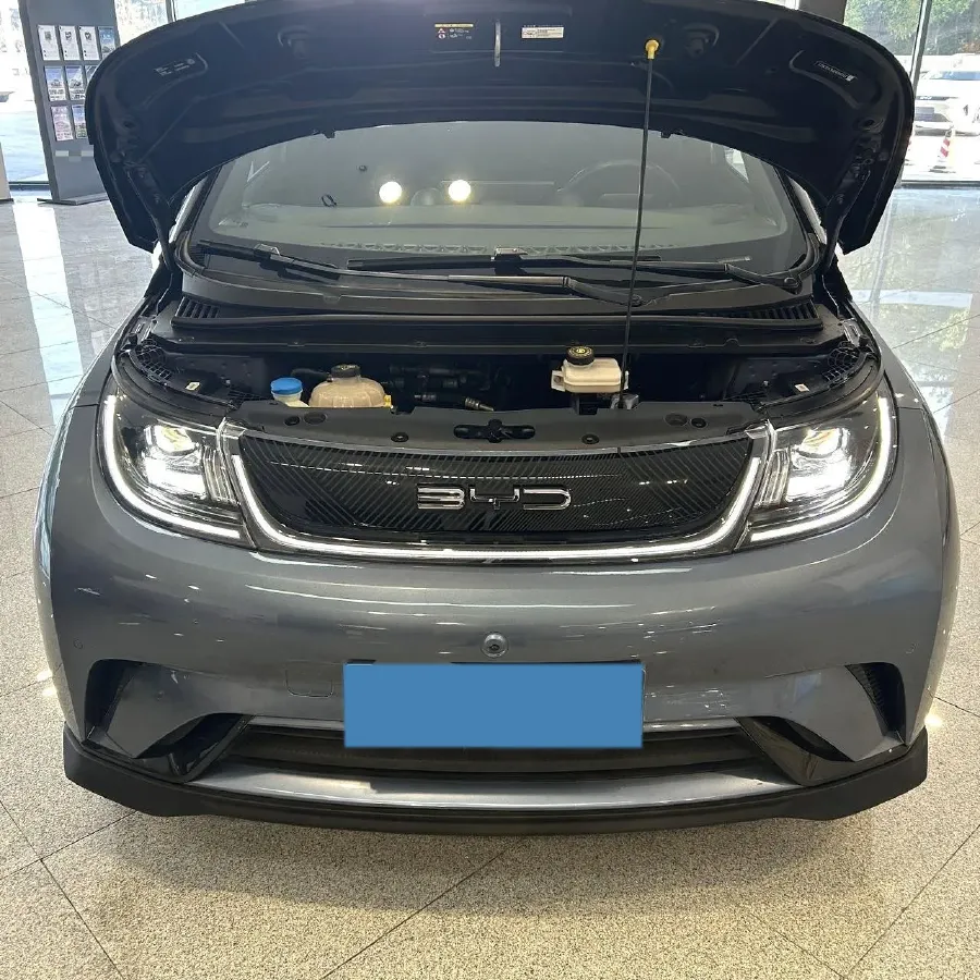 2023 BYD Dolphin BEV 44.928KWH,autocango,china used car exporter,china ev exporter,chinese used car exporter,chinese used ev exporter