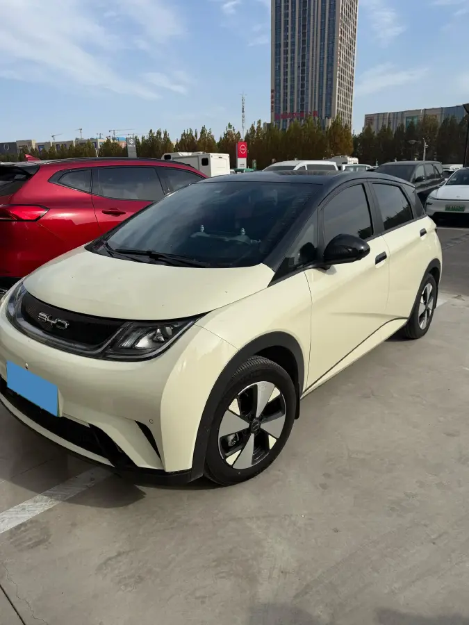 2023 BYD Dolphin BEV 44.928KWH