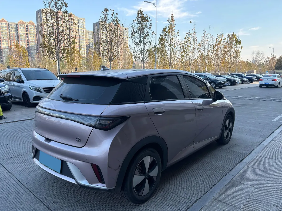 2023 BYD Dolphin BEV 44.928KWH,autocango,china used car exporter,china ev exporter,chinese used car exporter,chinese used ev exporter