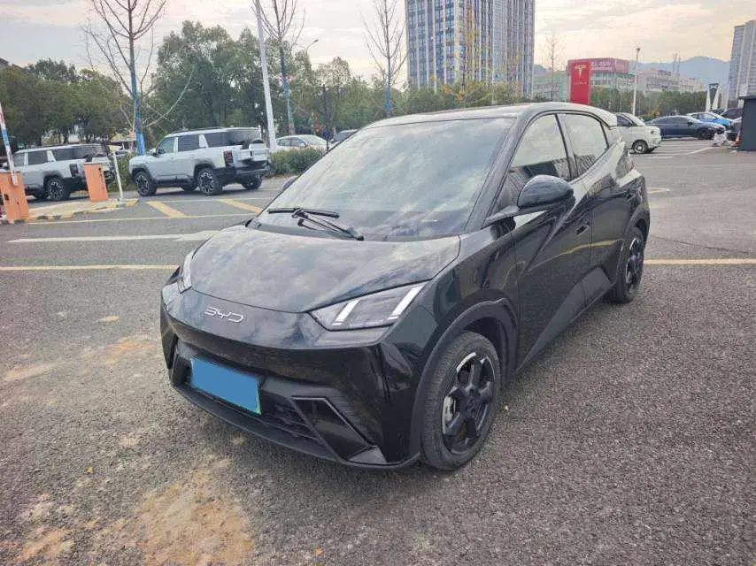 2023 BYD Yuan Pro BEV 38KWH