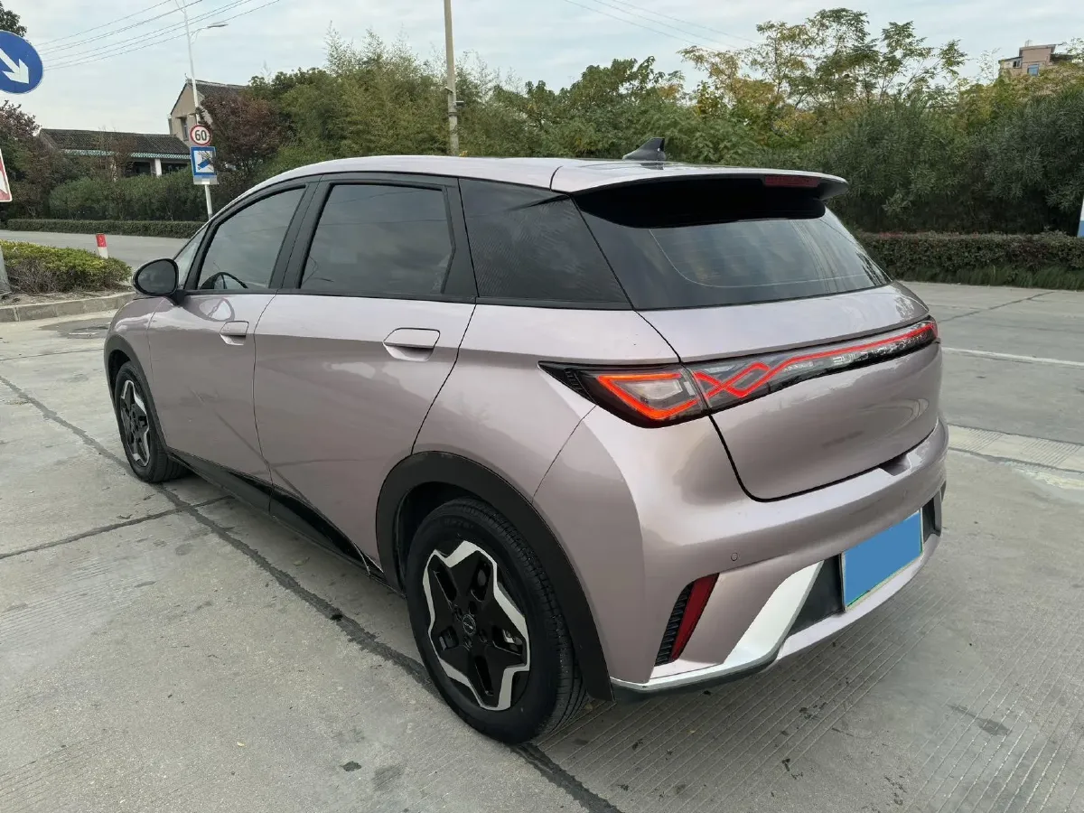 2021 BYD Dolphin BEV 44.9KWH,autocango,china used car exporter,china ev exporter,chinese used car exporter,chinese used ev exporter