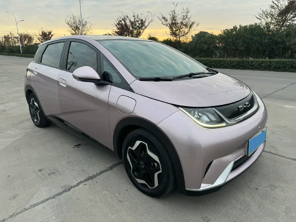 2021 BYD Dolphin BEV 44.9KWH,autocango,china used car exporter,china ev exporter,chinese used car exporter,chinese used ev exporter