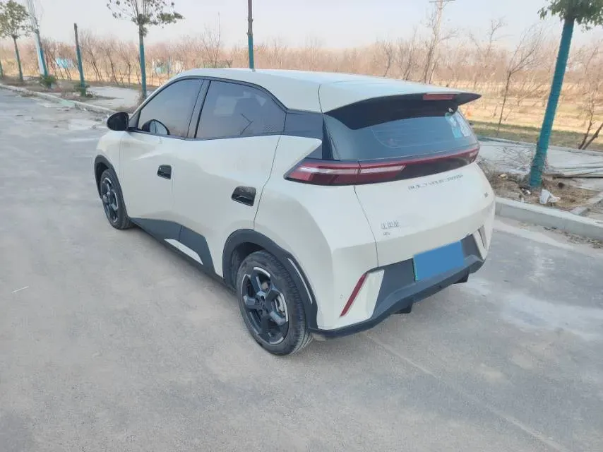 2023 BYD Seagull BEV 30.08KWH,autocango,china used car exporter,china ev exporter,chinese used car exporter,chinese used ev exporter