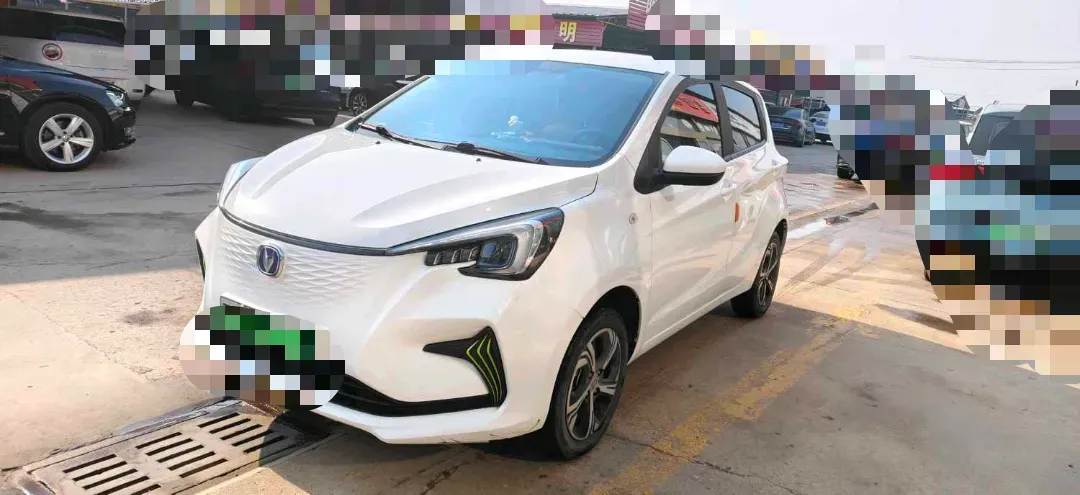 2022 ChangAn BenBen E-Star BEV 31.95KWH,autocango,china used car exporter,china ev exporter,chinese used car exporter,chinese used ev exporter