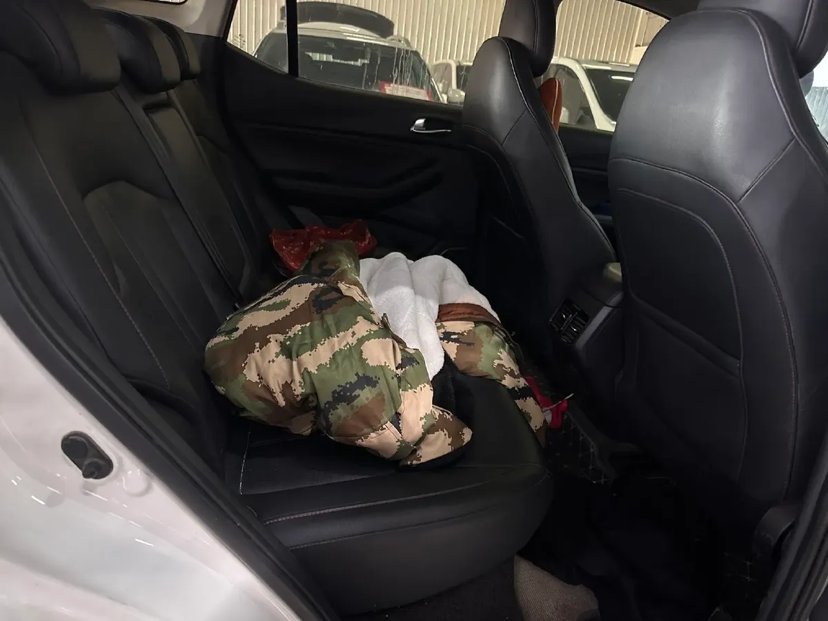 2020 GAC Trumpchi GS4 1.5T 169HP L4 6AT,autocango,china used car exporter,china ev exporter,chinese used car exporter,chinese used ev exporter