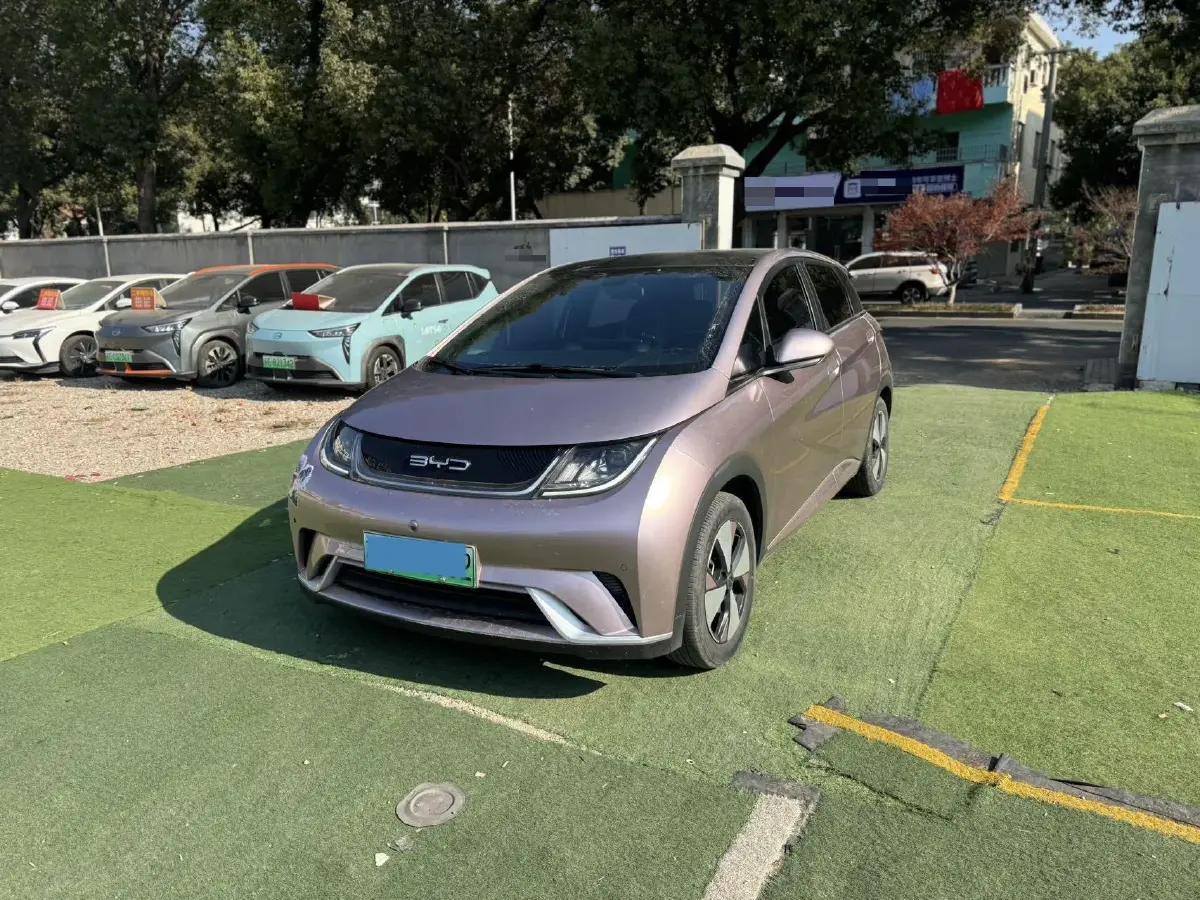 2023 BYD Dolphin BEV 44.928KWH