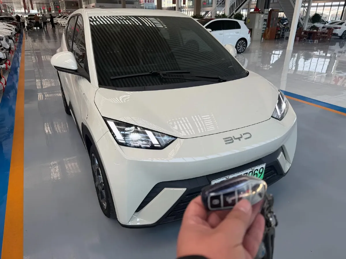 2024 BYD Seagull BEV 30.08KWH,autocango,china used car exporter,china ev exporter,chinese used car exporter,chinese used ev exporter