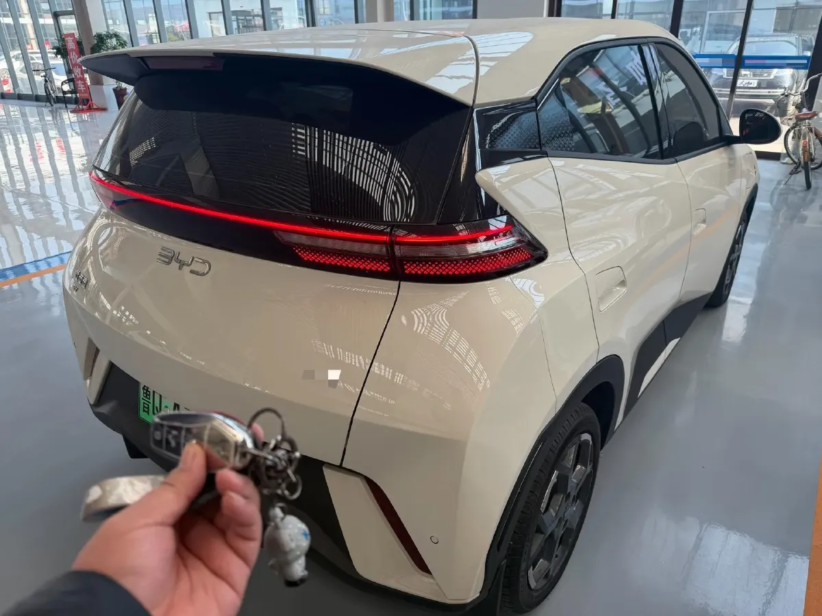 2024 BYD Seagull BEV 30.08KWH,autocango,china used car exporter,china ev exporter,chinese used car exporter,chinese used ev exporter