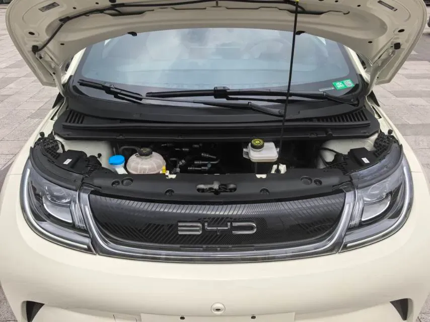 2024 BYD Dolphin BEV 44.928KWH,autocango,china used car exporter,china ev exporter,chinese used car exporter,chinese used ev exporter