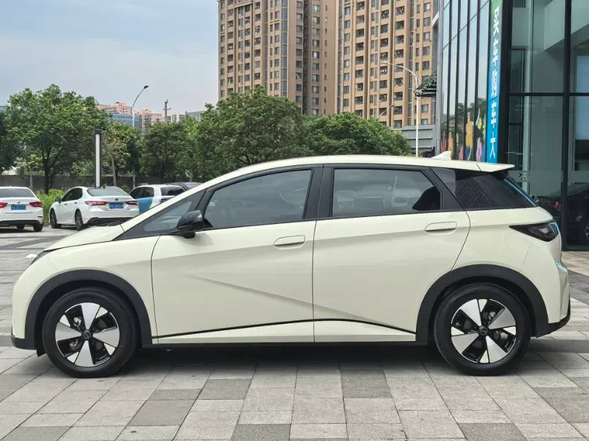 2024 BYD Dolphin BEV 44.928KWH,autocango,china used car exporter,china ev exporter,chinese used car exporter,chinese used ev exporter