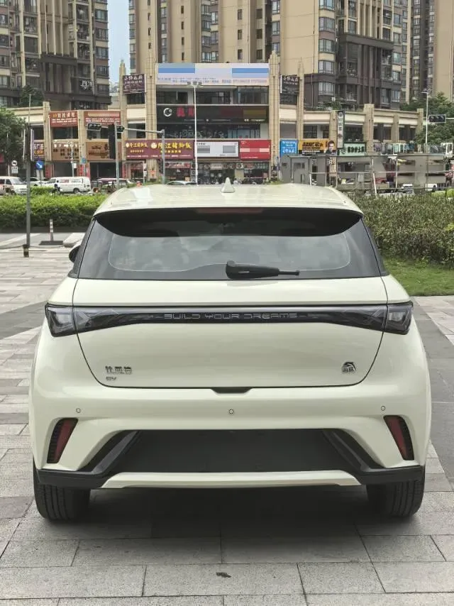 2024 BYD Dolphin BEV 44.928KWH,autocango,china used car exporter,china ev exporter,chinese used car exporter,chinese used ev exporter