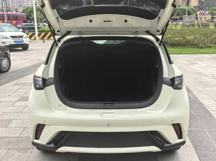 2024 BYD Dolphin BEV 44.928KWH,autocango,china used car exporter,china ev exporter,chinese used car exporter,chinese used ev exporter