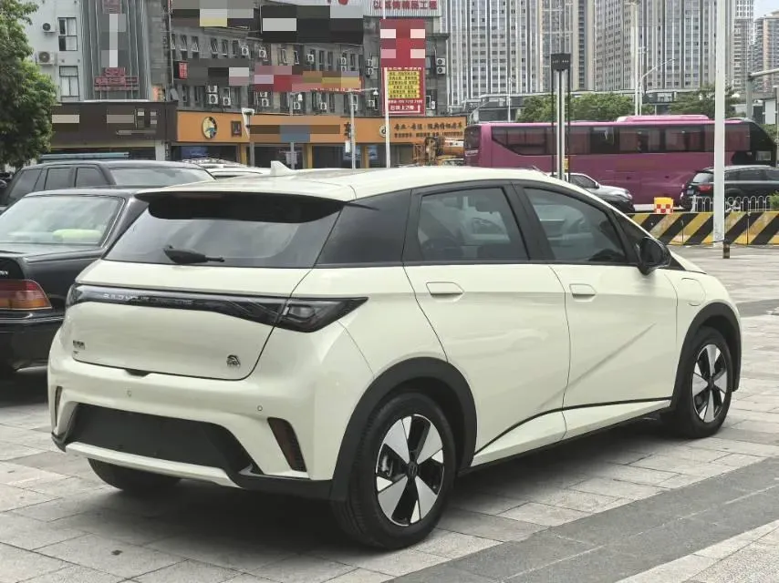 2024 BYD Dolphin BEV 44.928KWH,autocango,china used car exporter,china ev exporter,chinese used car exporter,chinese used ev exporter